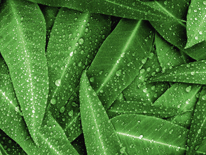 Baby / Kinder Matratzenschutz - Sale