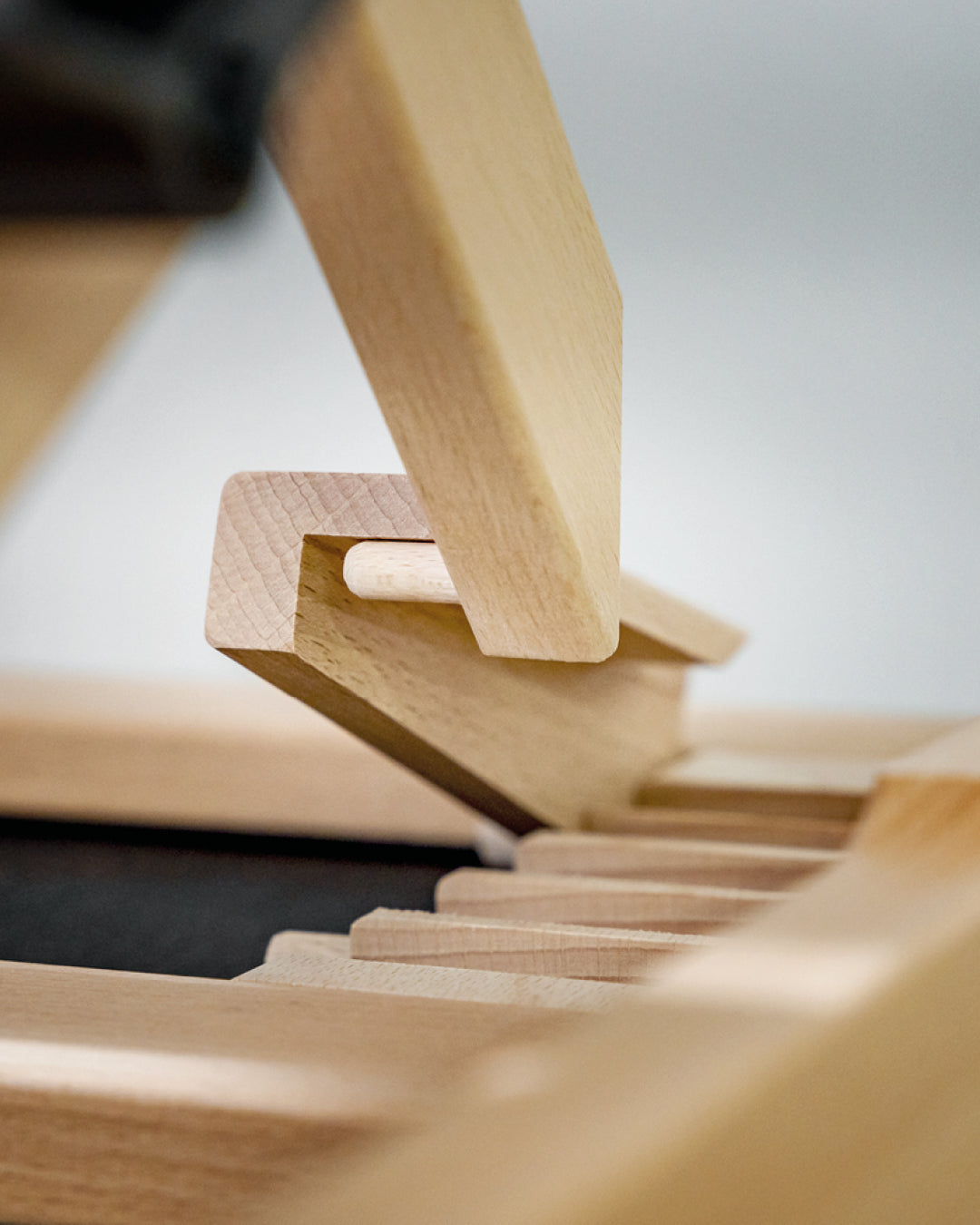 Bio Premium Lattenrost FLEX