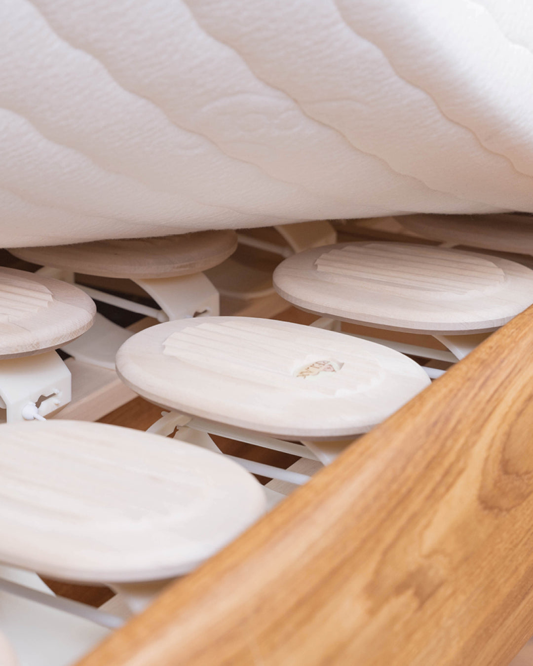 RELAX 2000 Tellersystem Buche Starr