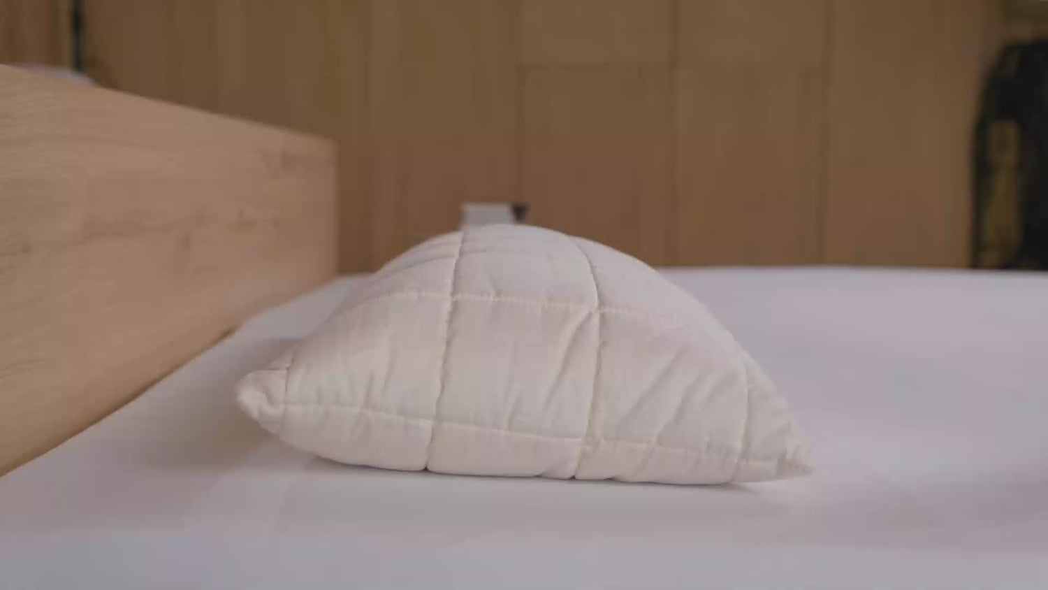 Bio Kissen Schurwolle - Sale